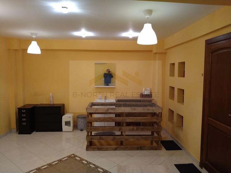 Spațiu comercial de închiriat în vilă , Zona Alba Iulia - 6