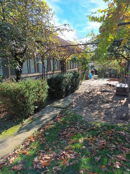 Casa de vanzare Comuna Curcani, Jud Calarasi - 1