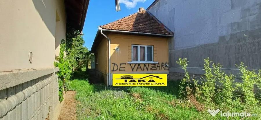Tautii Magheraus, casa 12 ari teren - 1