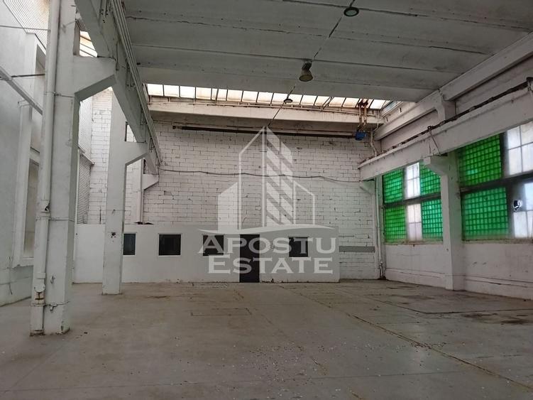 Hala Industriala, Sanicolau Mic - 3