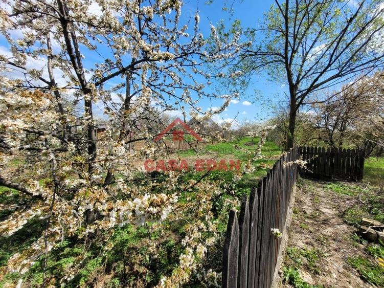 Casa si hala in Baicoi--78.500e - 3