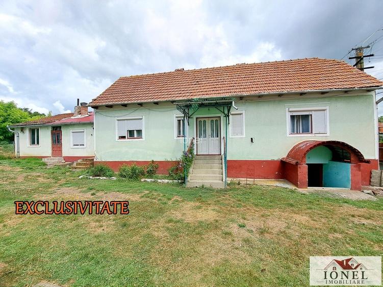 Vanzare casa in Berghin