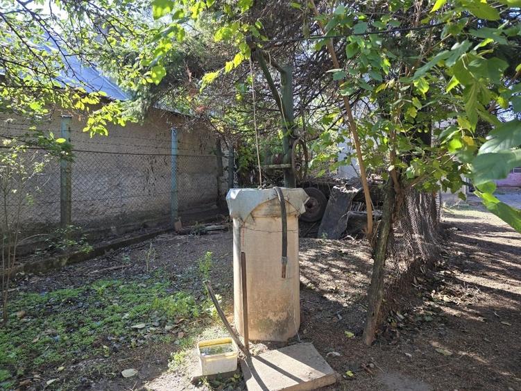 Teren 1300mp cu casa batraneasca - 7