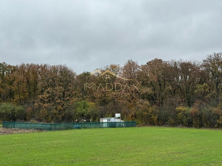 Maddax Luxury Properties vă propune spre vânzare un lot de teren în Balotești - 2