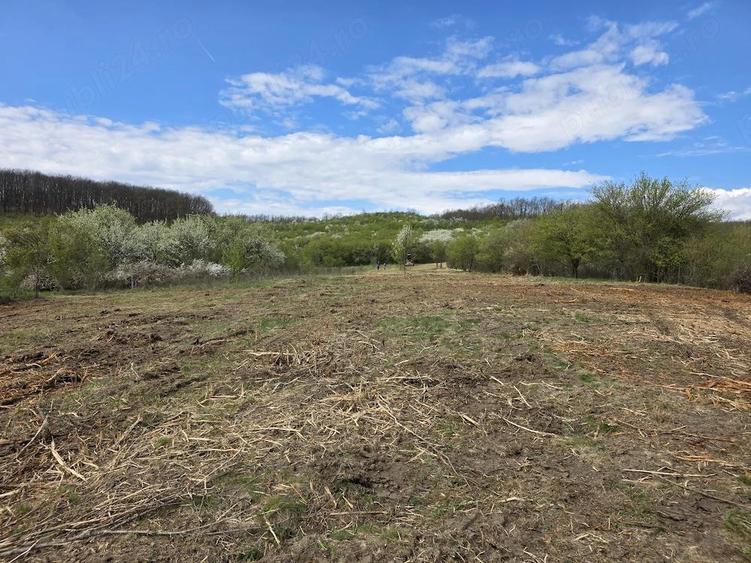 De vanzare teren intravilan Barsau, jud. Hunedoara - 8