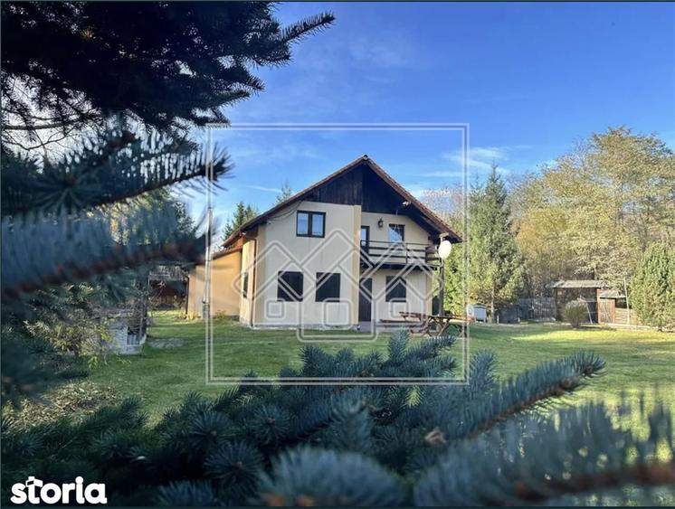 Casa de vacanta - investitie turistica profitabila - Porumbacu de Sus - 7