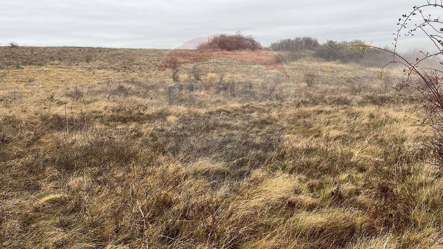 COMISION 0%- Teren 544mp Padureni (Chinteni) / Strada Principala - 5