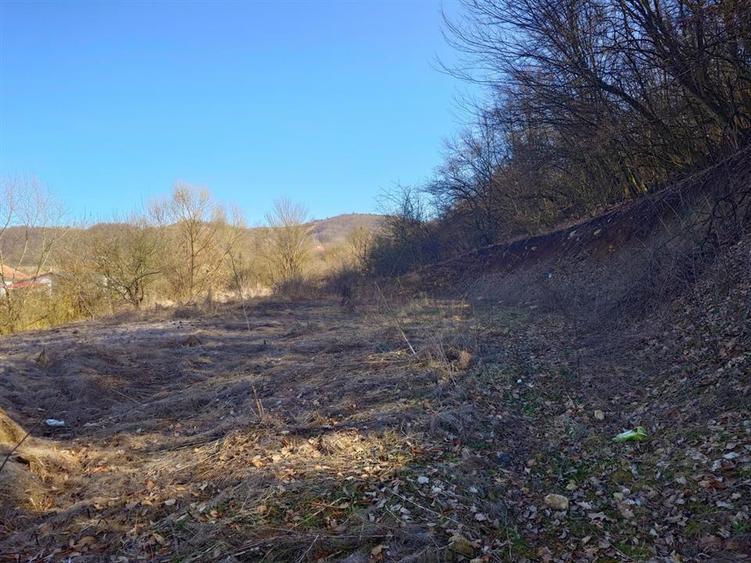 Teren intravilan la liziera padurii - 1