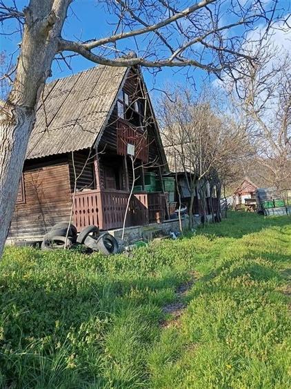 RECO TEREN GENEROS CU CABANA - 1