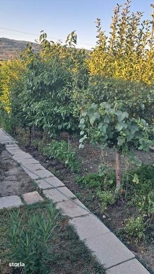 Vand casa cu etaj in Strehaia ,Mehedinti - 6