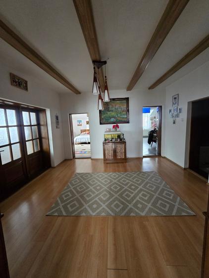 Utvin-Central-Vila S+P+E+M-360mp-2 accese-Garaj - 17