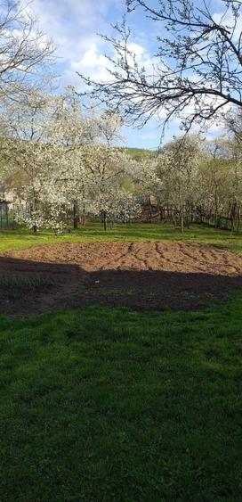 Casa de vanzare Capusul mic - 2