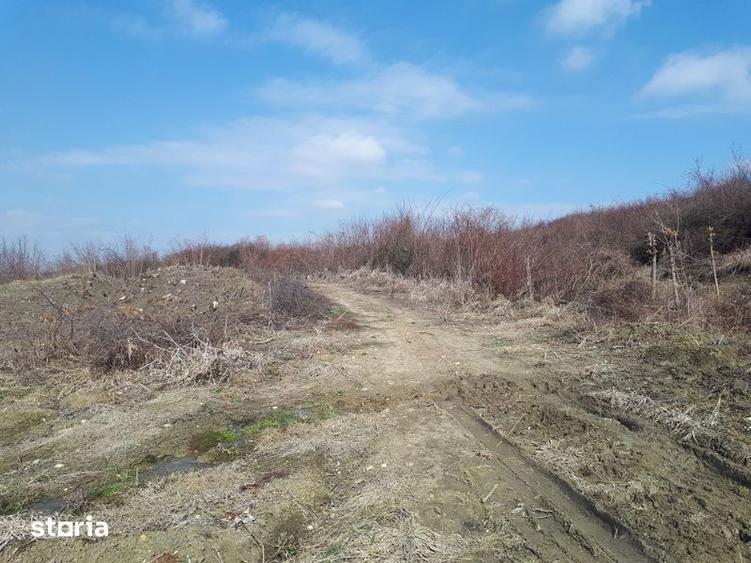 Vand teren intravilan la iesire din Slatina-sat Proaspeti - 5
