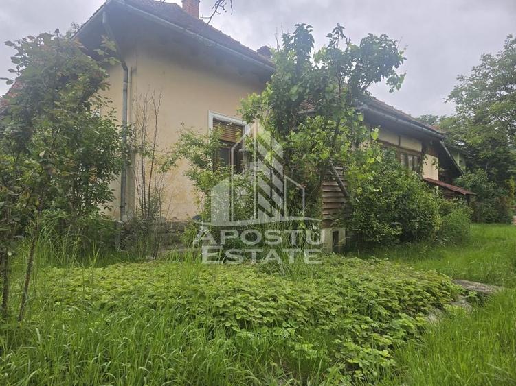 Proprietate cu potential turistic in Gurahont - 26