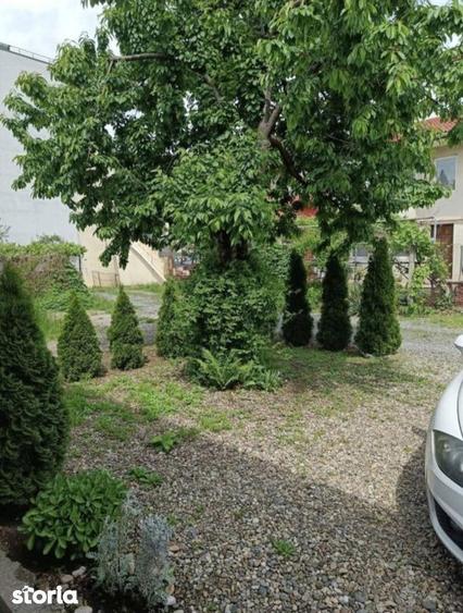 Casa SEMICENTRALA | 80 mp UTILI | CURTE 90 mp | CF | PARCARE | RENOVAT - 2