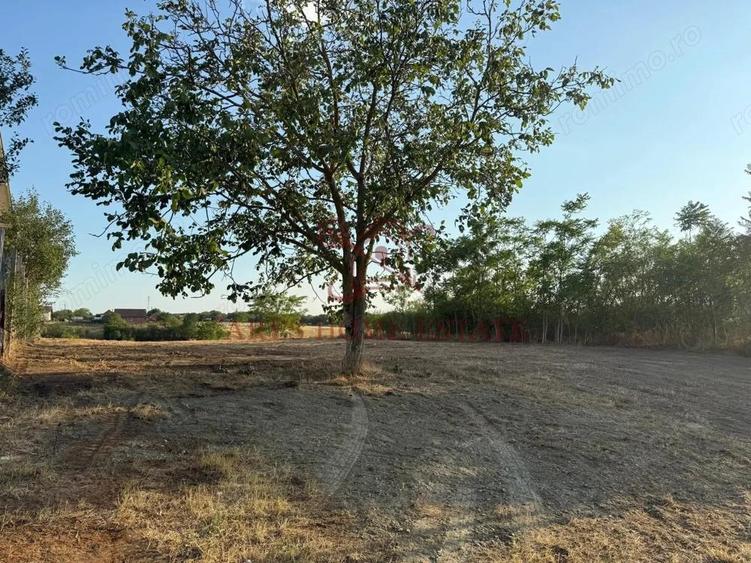 Teren intravilan 2.192 mp cu front 20 m Seceani, Timi? - 1