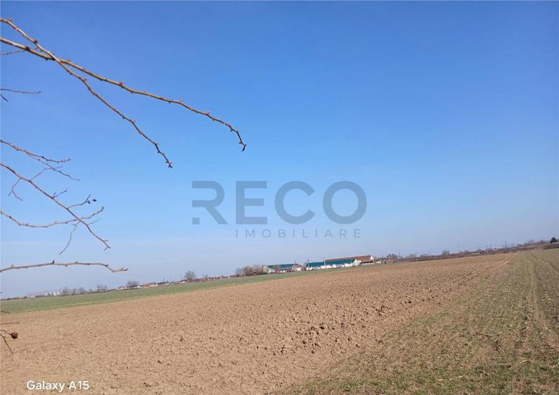 RECO Teren intravilan aproape de zona industriala Biharia - 2