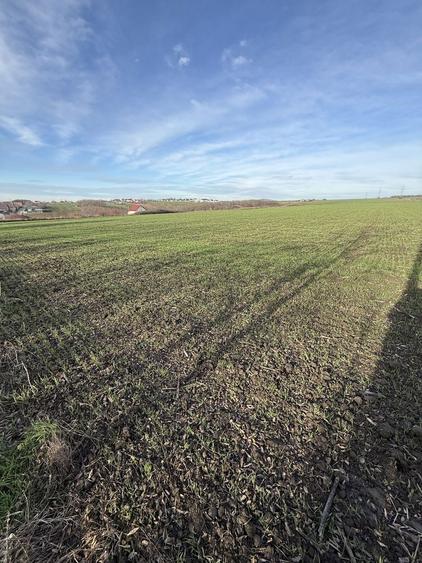 Vand teren Aroneanu 32 mp toate utilitatile la limita de pro - 5