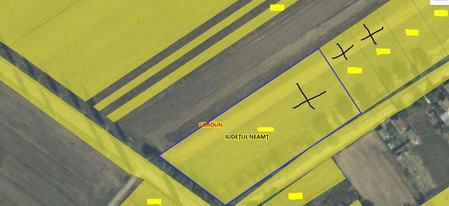 Teren intravilan de vanzare 8795 mp Cordun Simionesti 18 /MP - 5