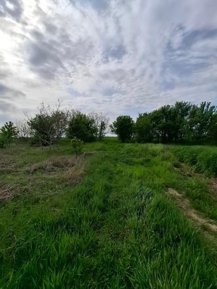 Teren construibil - 2