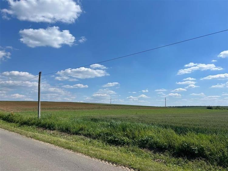 RECO Teren industrial si servicii 10 000 mp in Apateu - 3