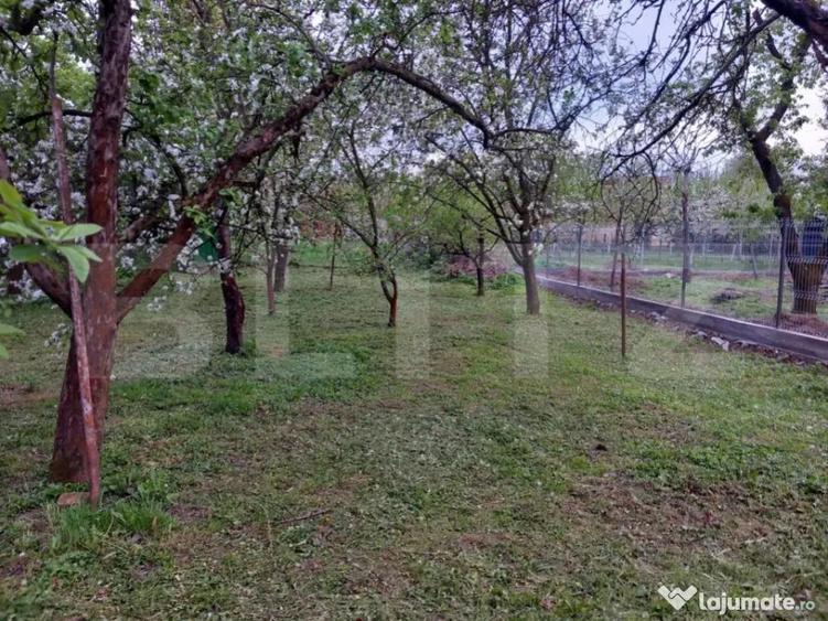 Teren, 600 mp, zona Bercu Rosu - 1