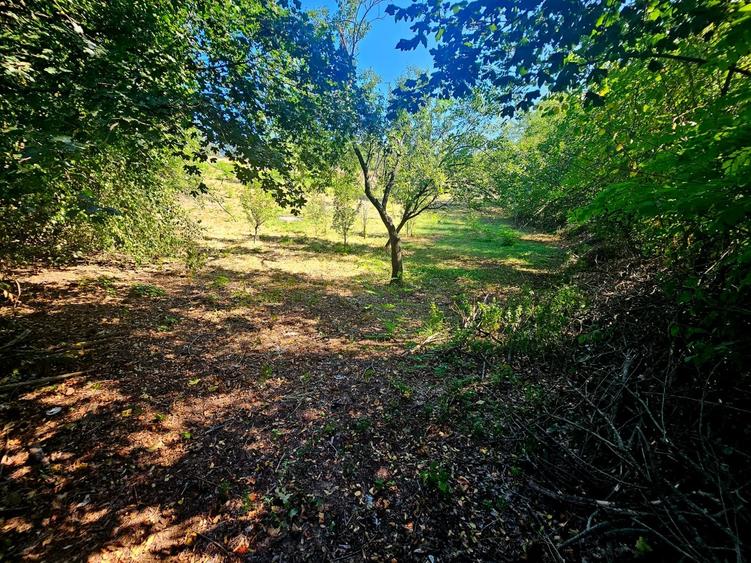 Teren intravilan 2322 mp, Păcuri – vedere superbă spre pădure! - 9