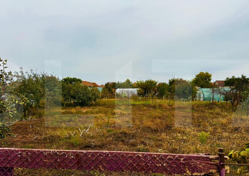 Casa de vanzare in Macea, teren 942 mp - 15