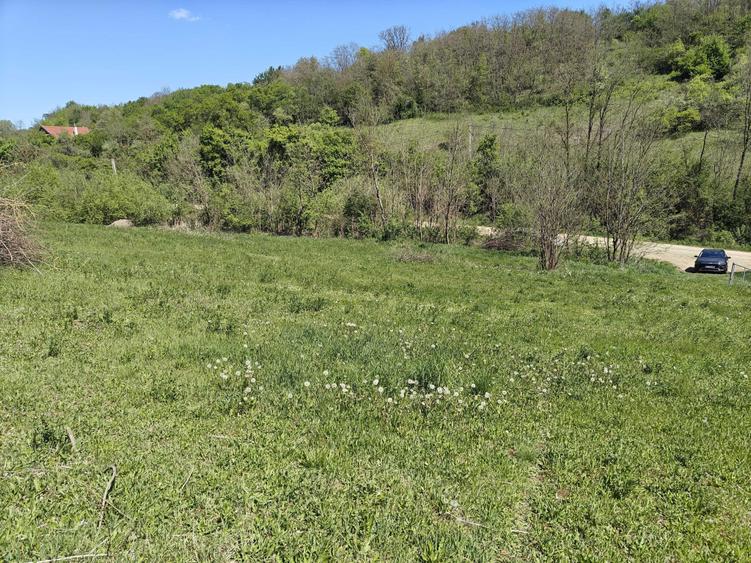 Teren intravilan 1400 m2 - la 10 minute (5 km) de centrul Targu Mures - 1