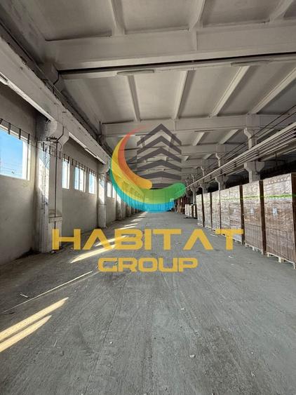 Hală industrială cu poduri rulante și putere 1,8 MW – 2400 mp | Popești-Leordeni - 7