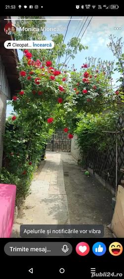 Casa de vanzare 23 August - 3