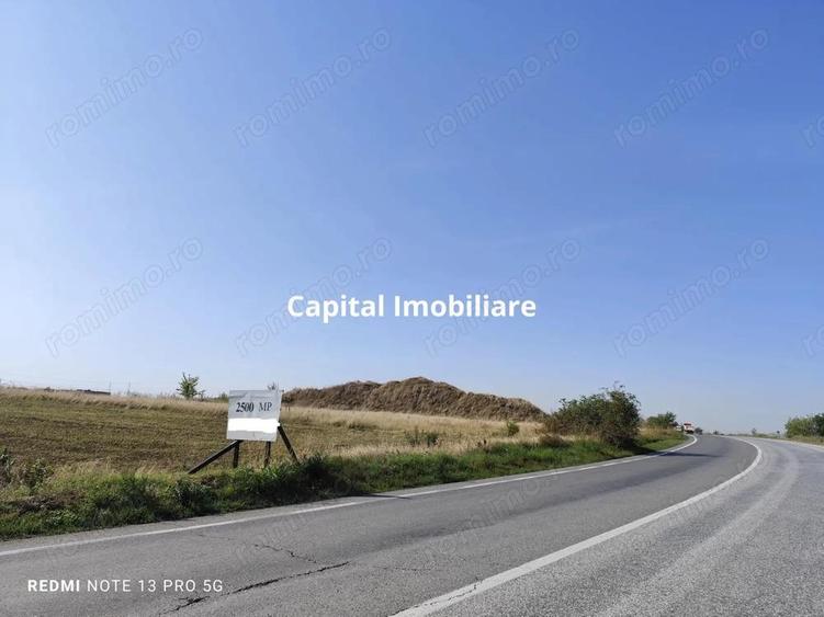 Teren agricol 2500 mp, Cocorastii Colt - 2