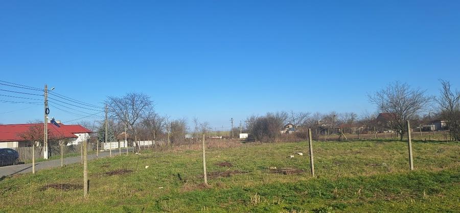 Teren intravilan Județul Constanța - 3