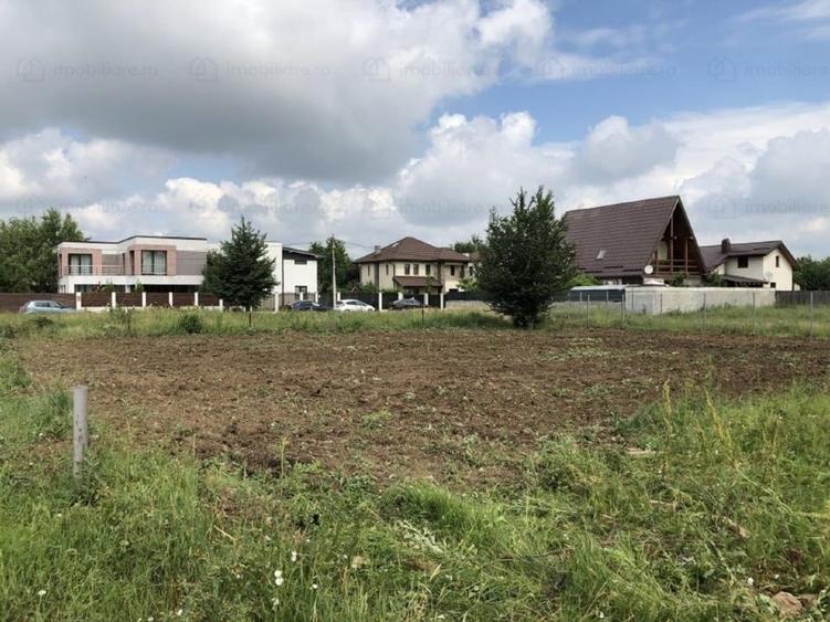 Teren Mogosoaia str Vanatorilor - 3