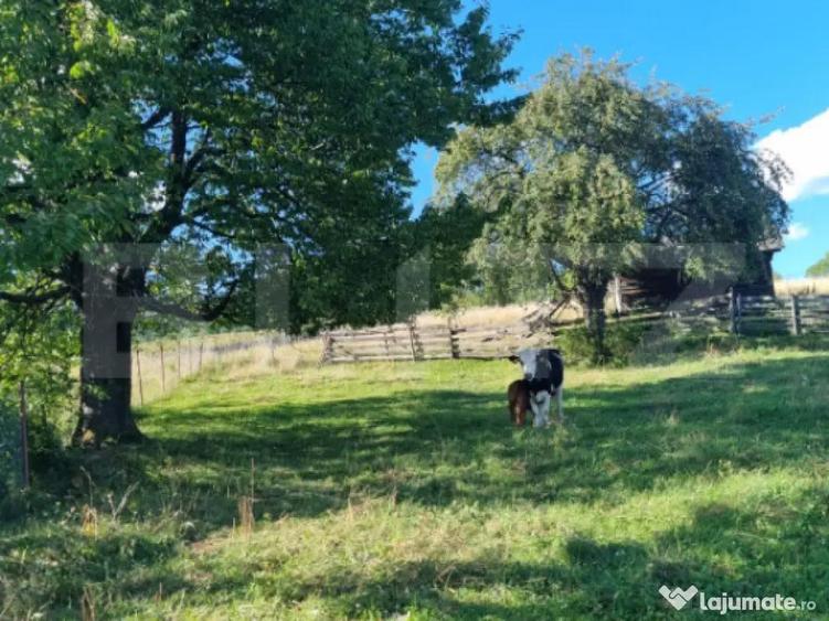 Teren intr-o zona superba din Campulung Moldovenesc - 2