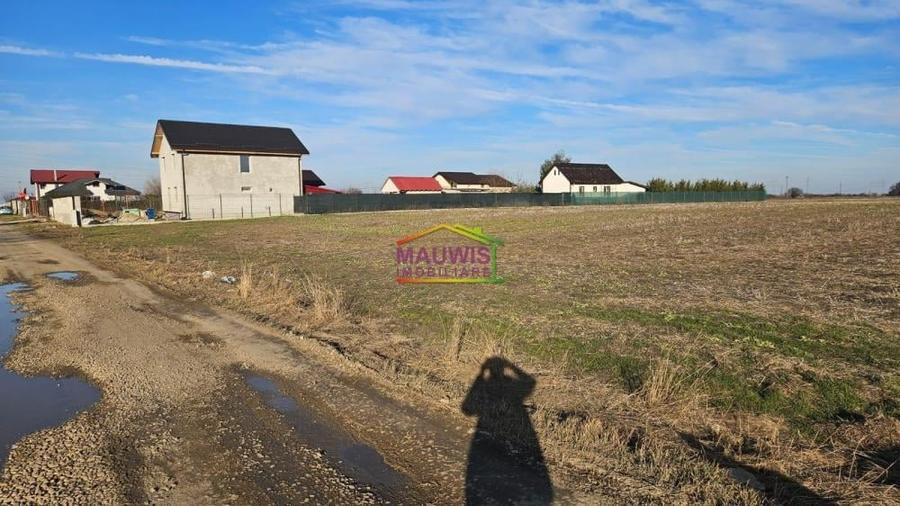 Magurele Strada Stejarului - 3