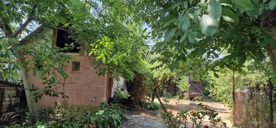 Doua case + anexe + gradina + gaz - 4