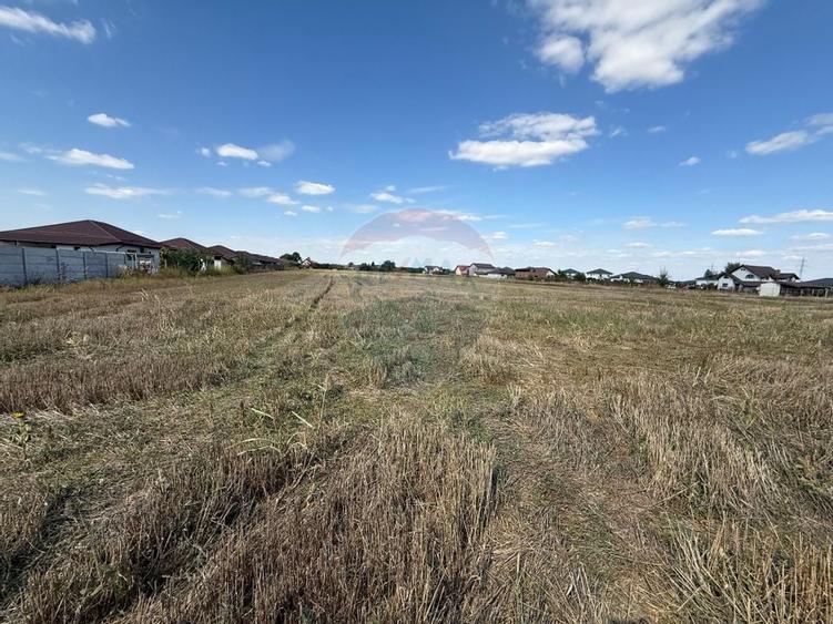 Vand teren intravilan 5000 mp in Sabareni - 6