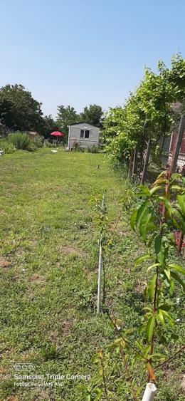 Teren 1000mp Dragomiresti-Vale - 10