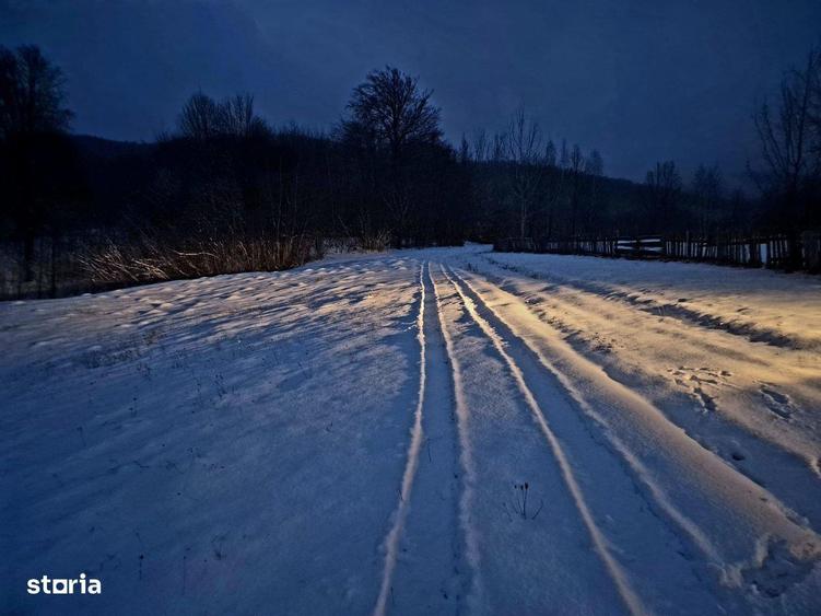 Teren 5000 mp extravilan Sinca Noua - 9