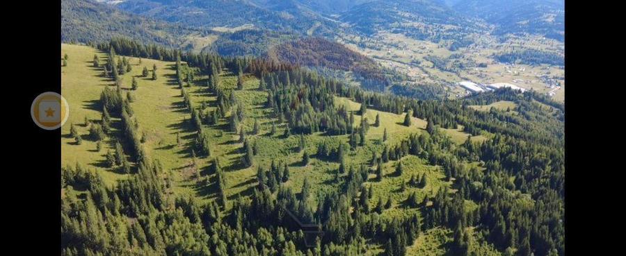 Teren 24,581mp Panaci / Strada Mihaile? - 20