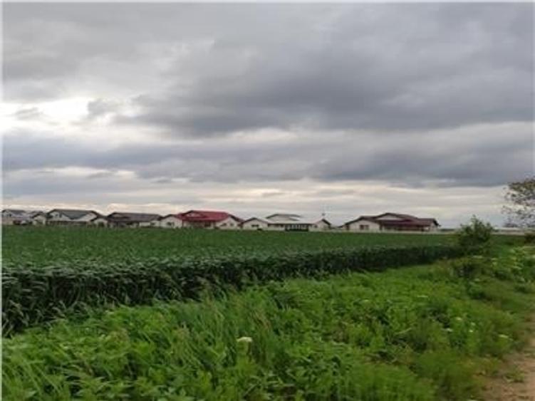 Teren in Ciolpani cu pozitie si pret bun, pretabil pentru constructie sau invest - 1