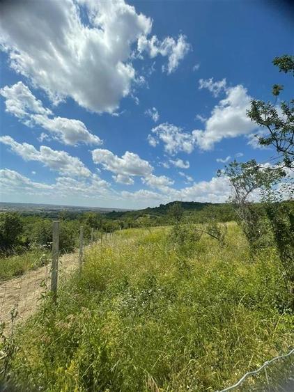 RECO Teren Extravilan Podgoria Oradea - 9