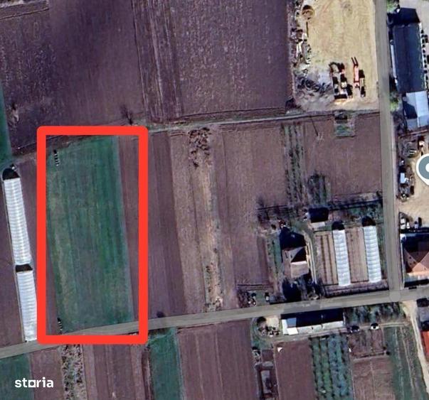 Teren intravilan in Bors - 2