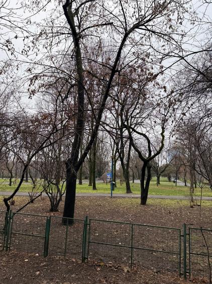 PARCUL CIRCULUUI-STR. JUDETULUI, BD. LACUL TEI - 1