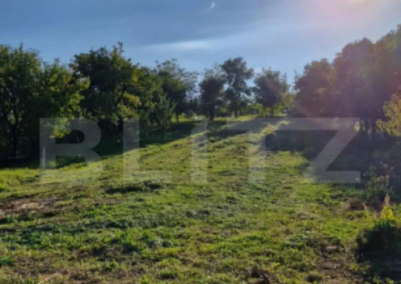 Casa de vanzare Budacu de Jos | 6 km de centrul Bistri - 6