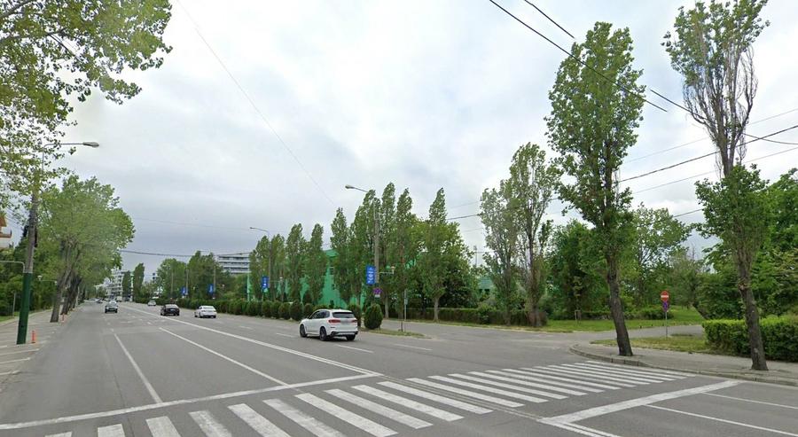 Teren de vanzare in Mamaia cu autorizatie - 12