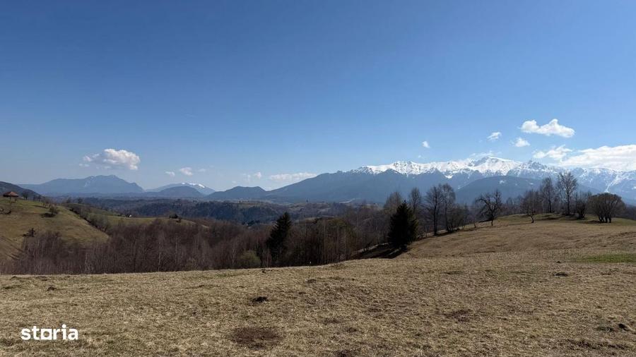 Teren 4584 mp de vanzare Pestera, Moeciu, Brasov - 5