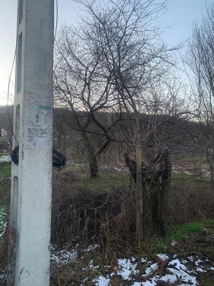 Teren Maracineni Argeselu - 2