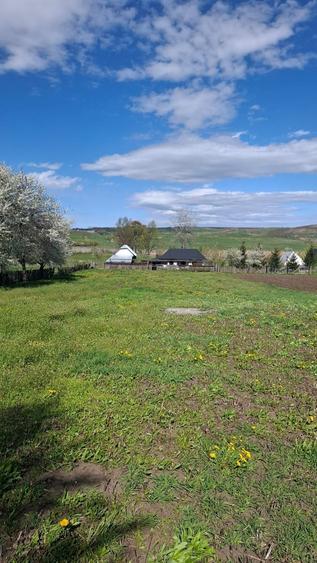 Teren intravilan 1800 mp, Pocoleni (Radaseni) - forma dreptunghiulara, posibilitate parcelare - 5